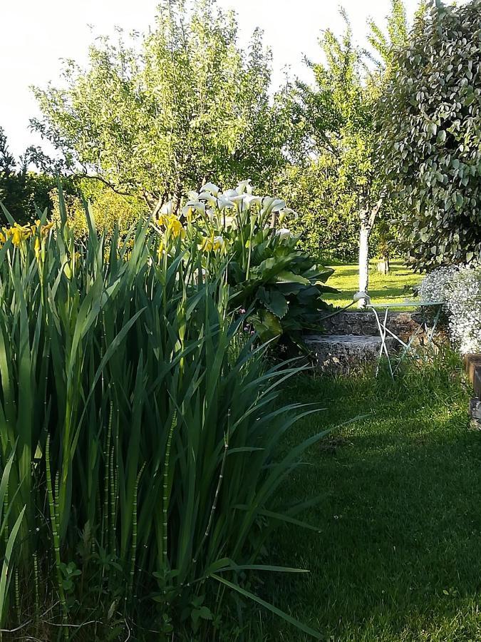 La Cle Du Puy Bed & Breakfast Cabariot Dış mekan fotoğraf