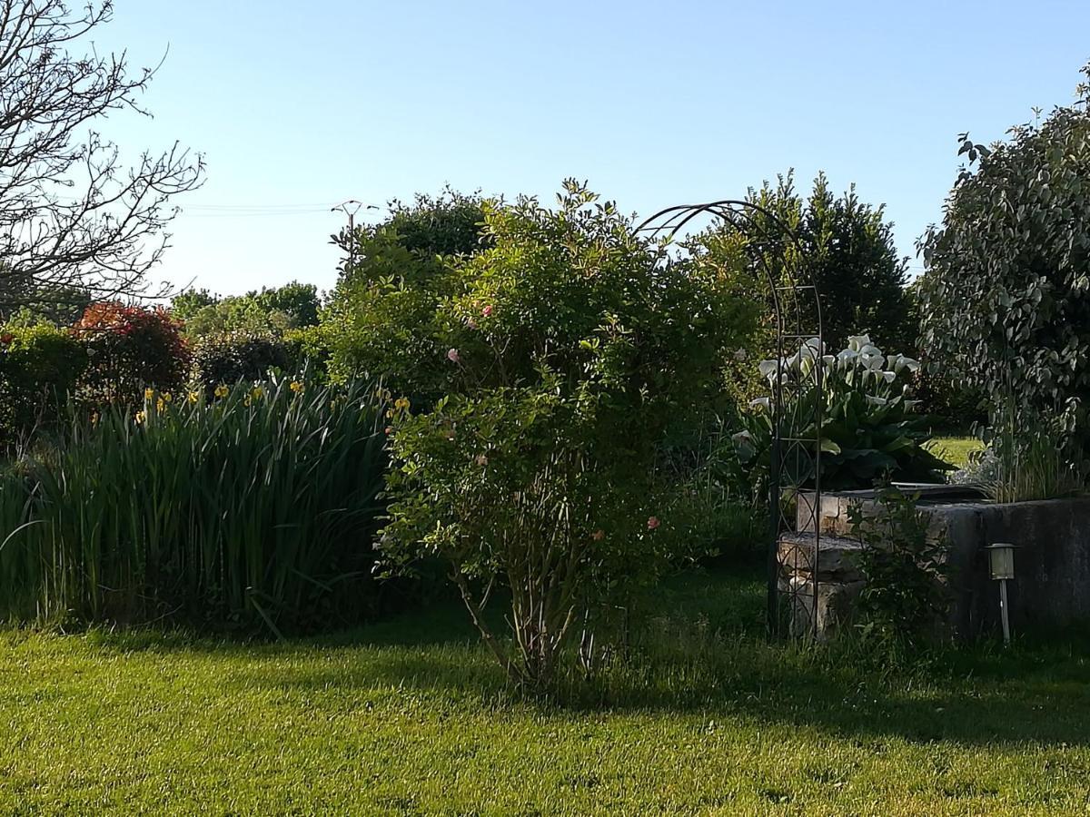 La Cle Du Puy Bed & Breakfast Cabariot Dış mekan fotoğraf